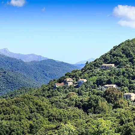 Occhinello Villa Propriano (Corsica)